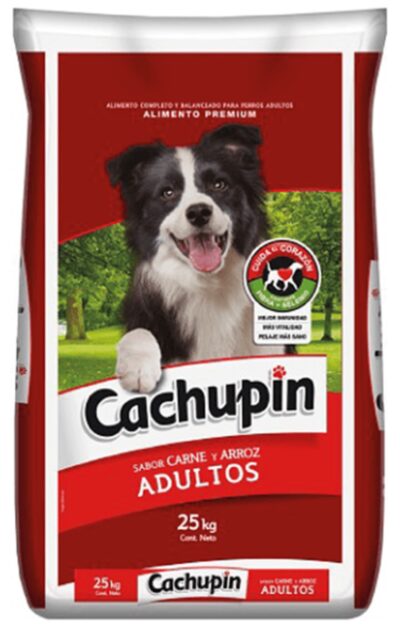 Cachupin Cachupin adulto 25